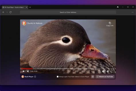 ducktogo|DuckDuckGo Private Browser